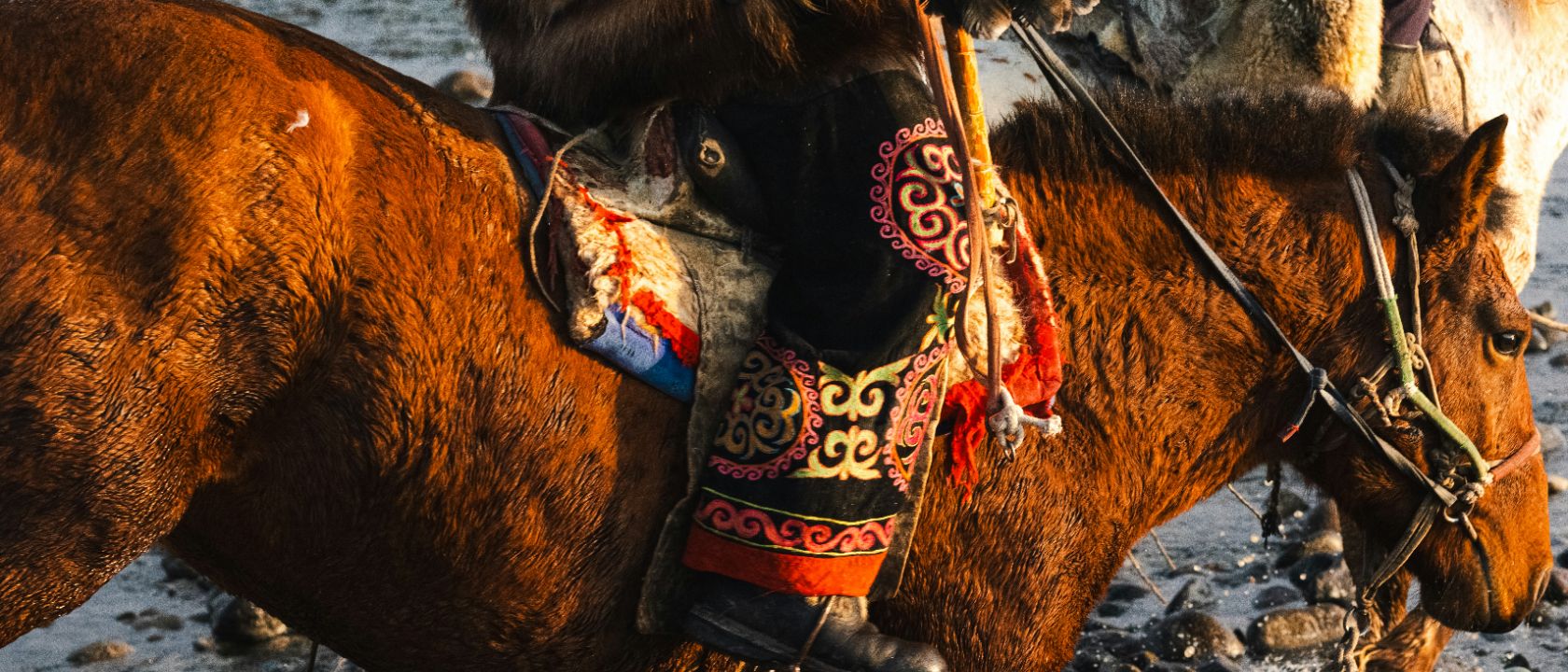 Сармати: Ратници са Истока у Банату – Јазиги на тлу Иђоша и Потисја