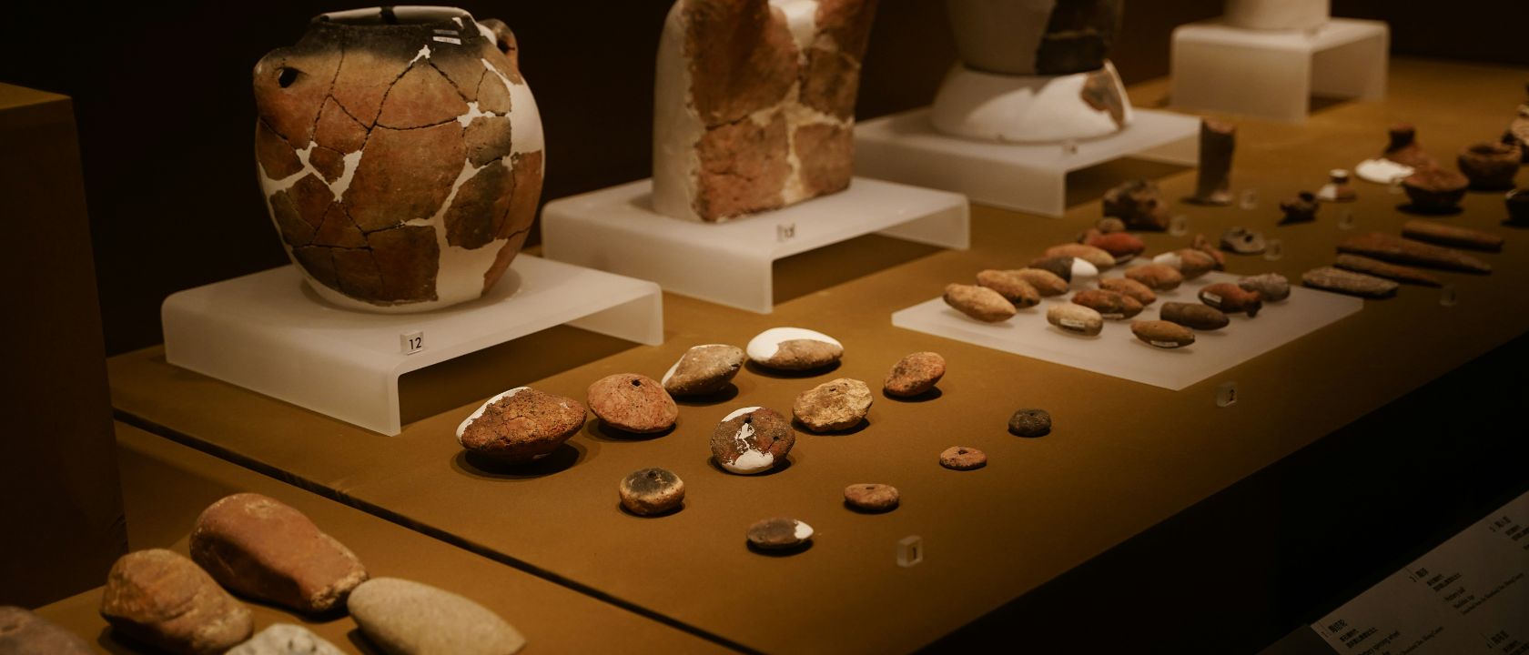 Територија Потиског Баната и Иђоша у праисторији